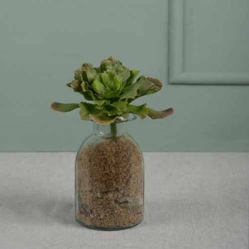 Faux Succulent by Grand Illusions